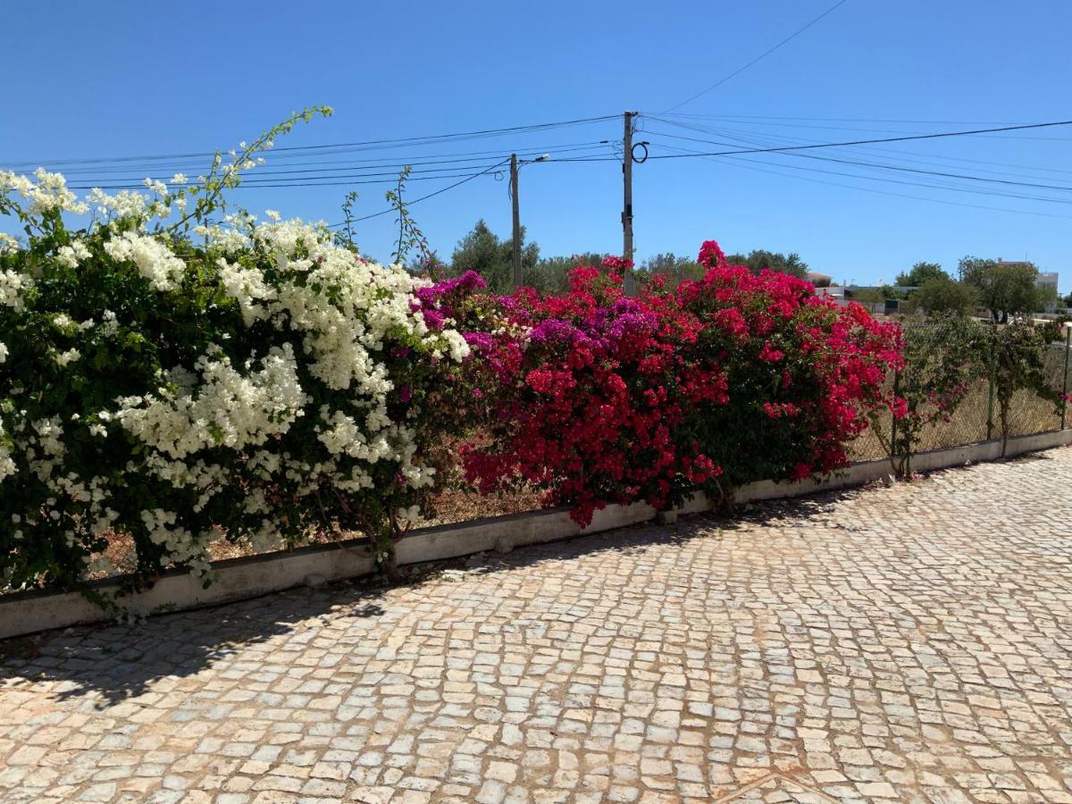 Guest House Alfarrobeiras Albufeira Dış mekan fotoğraf